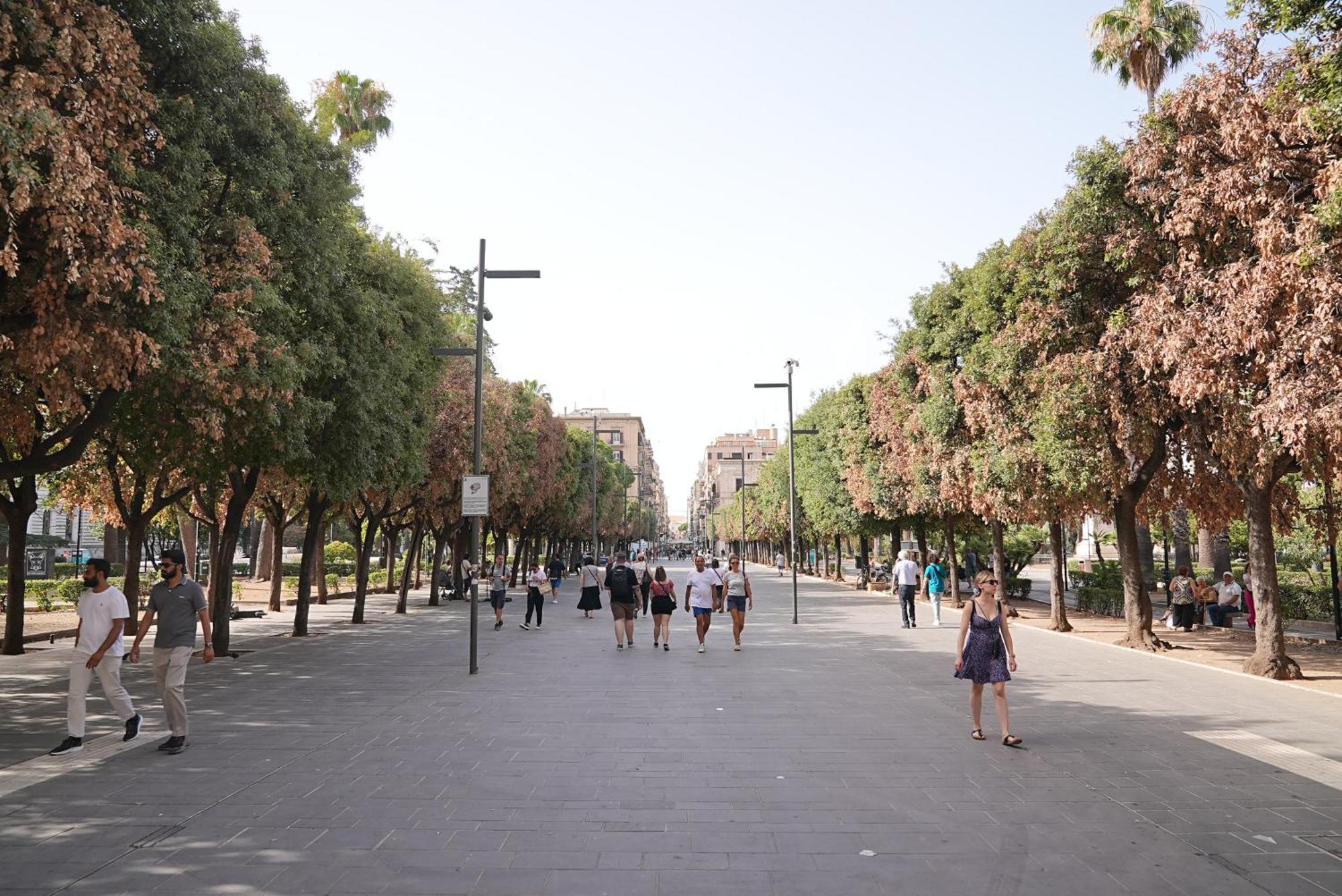 Suite & Premium Room - Centro Bari - Stazione 外观 照片